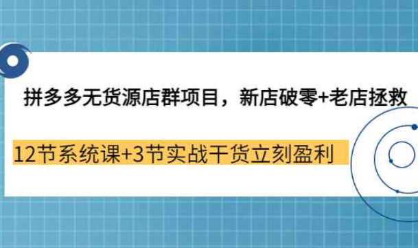拼多多无货源店群项目，新店破零+老店拯救 12节系统课+3节实战干货立刻盈利