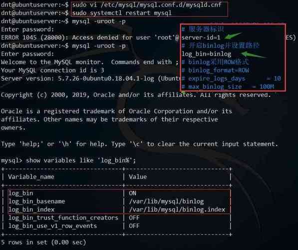MySQL—存储引擎(上) MySQL—存储引擎(上)