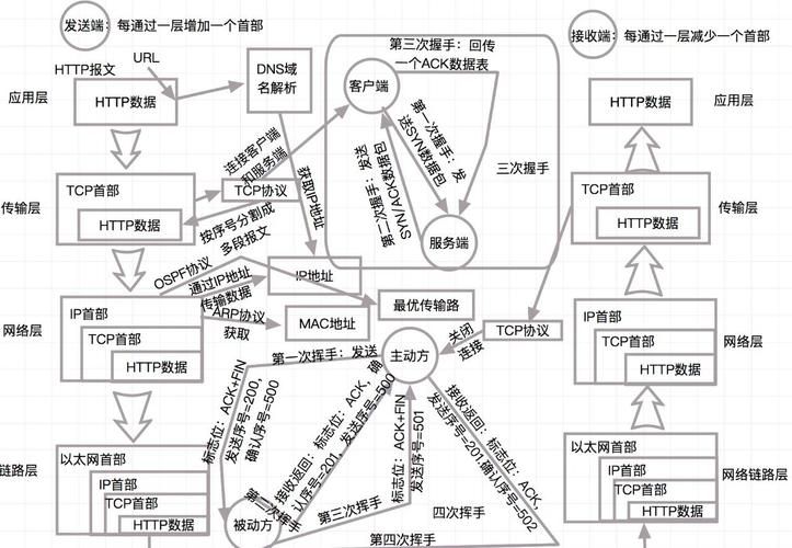 HTTP请求解剖图：从请求头到请求体，小白秒懂
